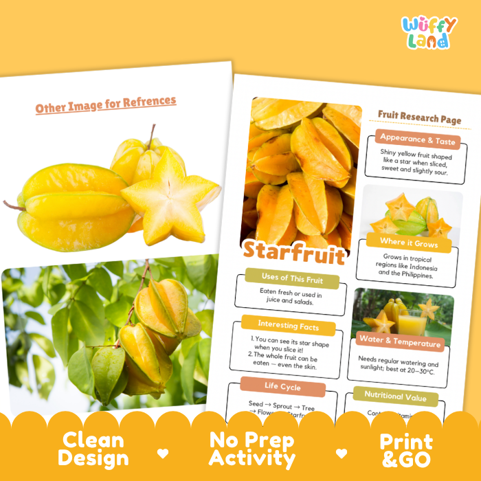 Two printed reference cards about starfruit displayed on a yellow background, with the brand name 'Wiffly land' at the top right. The cards show photos of yellow starfruit and a fruit research page layout.
