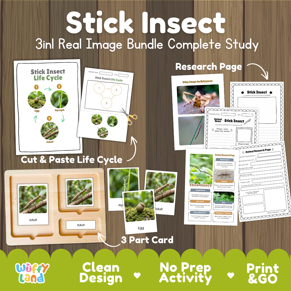 Stick Insect 3-in-1 real image bundle complete study cover showing cut and paste life cycle, 3 part cards, and research pages