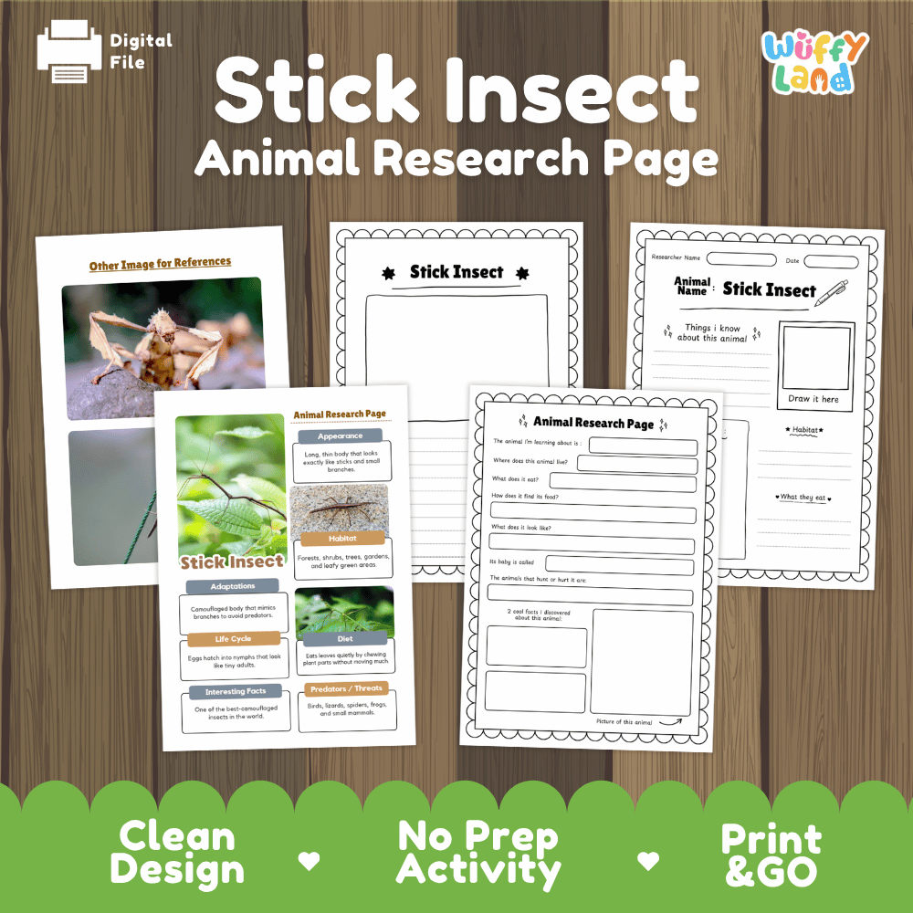 Stick Insect Animal Research Worksheets and Informational Fact Sheets