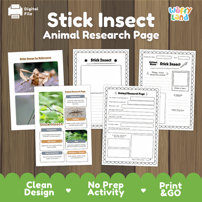 Stick Insect Animal Research Worksheets and Informational Fact Sheets