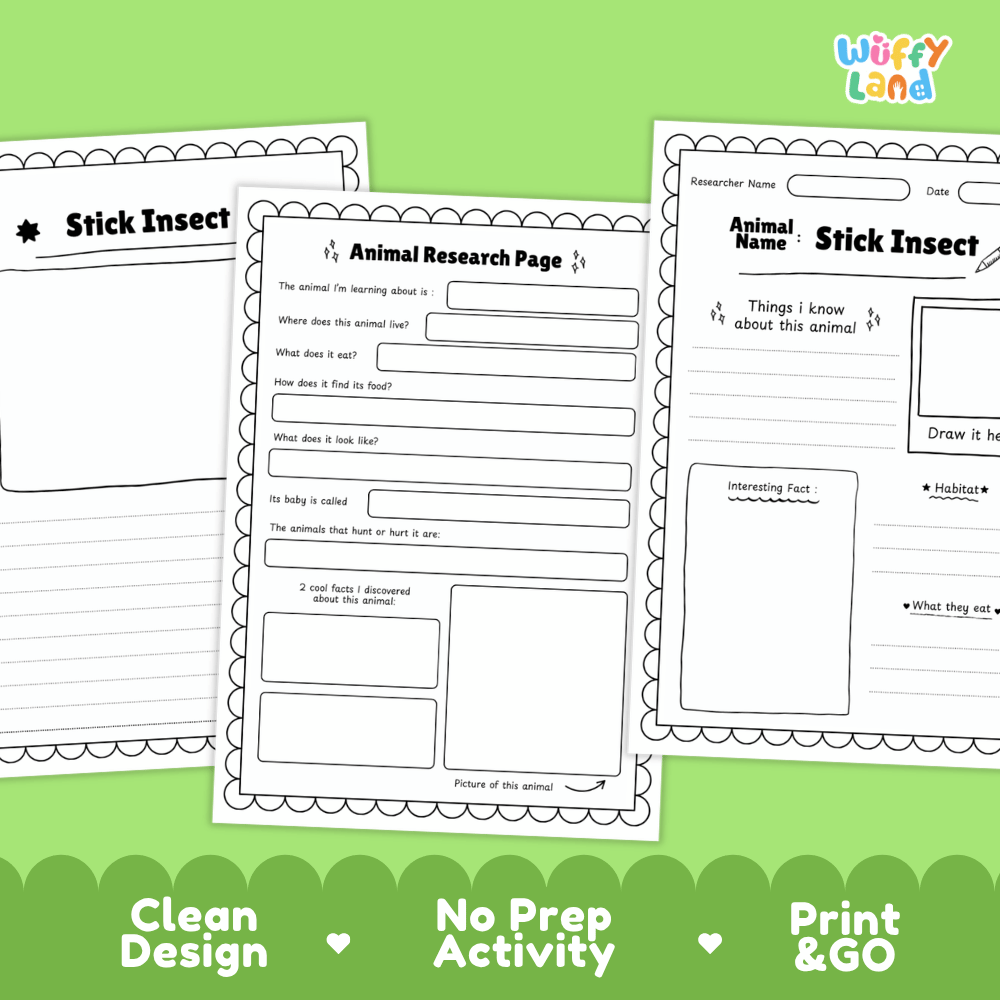 Stick Insect Animal Research Worksheets and Informational Fact Sheets