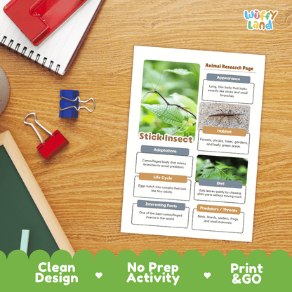 Stick Insect Animal Research Worksheets and Informational Fact Sheets