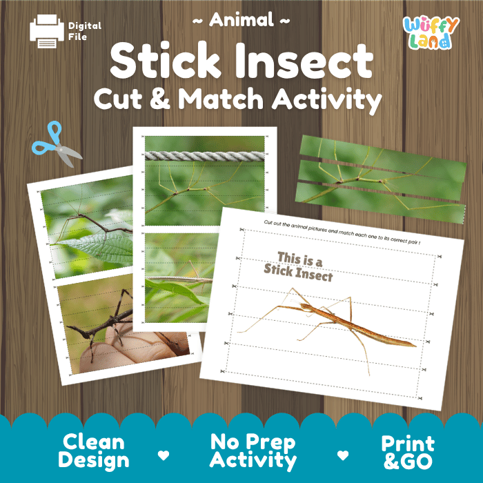 Stick Insect Cut and Match Activity Worksheets | Animal Puzzle Printables