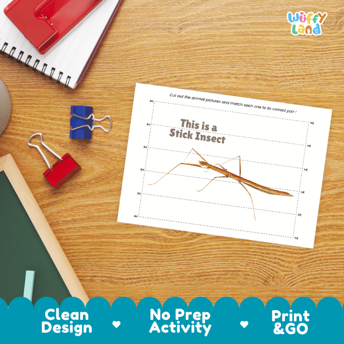 Stick Insect Cut and Match Activity Worksheets | Animal Puzzle Printables