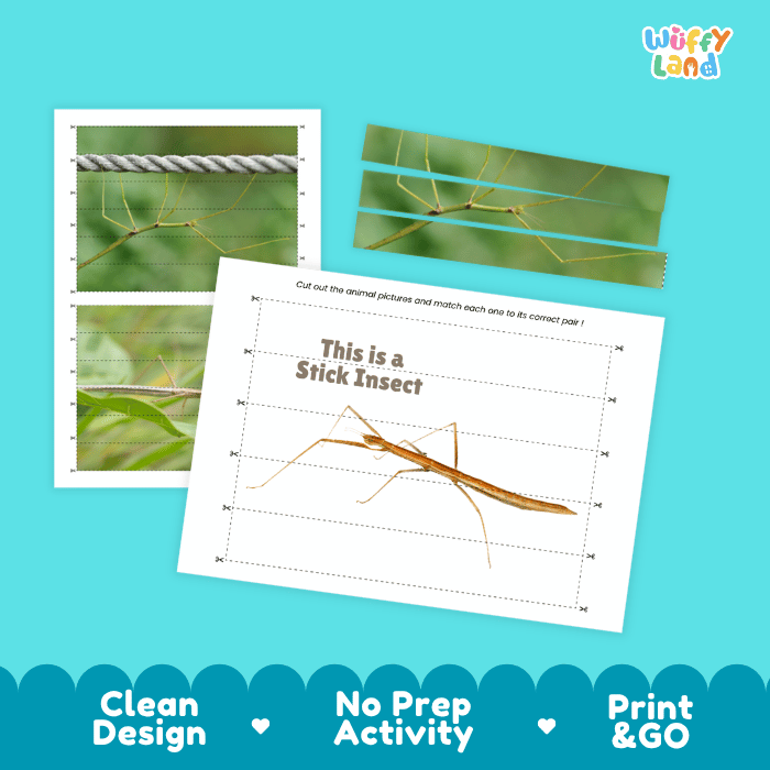 Stick Insect Cut and Match Activity Worksheets | Animal Puzzle Printables