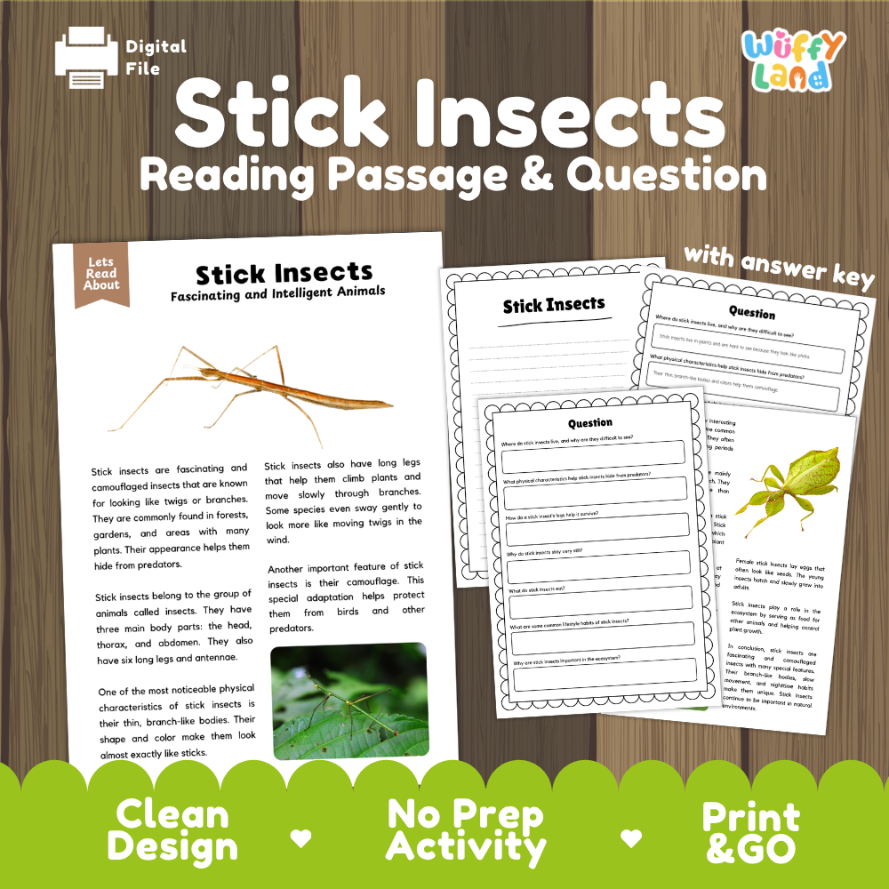 Digital reading activity sheet set titled 'Stick Insects Reading Passage & Question' with an answer key, shown on a wood background. The design includes a passage about stick insects, multiple worksheet pages, a small insect photo, and promotional text at the bottom.