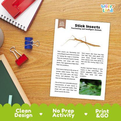 An educational reading activity sheet titled 'Stick Insects' laid flat on a wooden desk, surrounded by school supplies like a spiral notebook, red and blue binder clips, and a red folder. The sheet features text, a line drawing of a stick insect, and a small green leaf photo, with a green banner at the bottom highlighting product features.