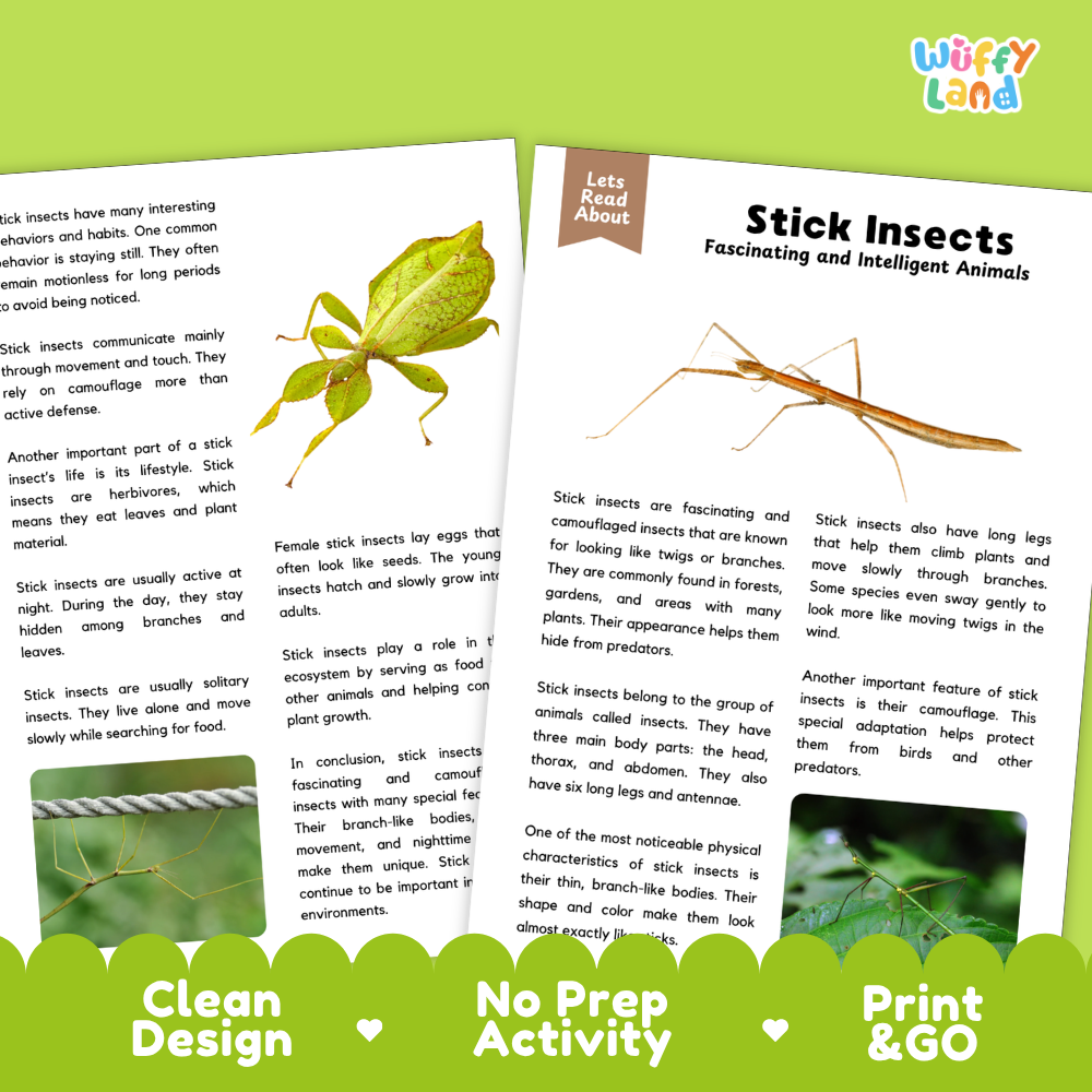 A children's educational activity sheet about stick insects, featuring a large illustration of a green stick insect, text sections, and a green 'Let's Read About' banner at the top. The bottom of the page has a green footer with 'Clean Design', 'No Prep Activity', and 'Print & Go' text.