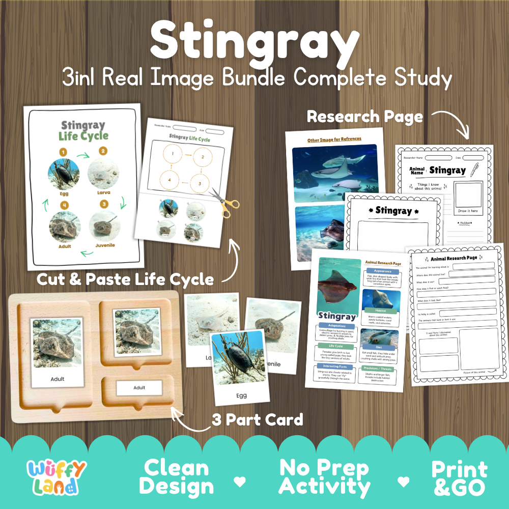 Stingray 3-in-1 real image bundle complete study cover showing cut and paste life cycle, 3 part cards, and research pages