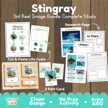 Stingray 3-in-1 real image bundle complete study cover showing cut and paste life cycle, 3 part cards, and research pages