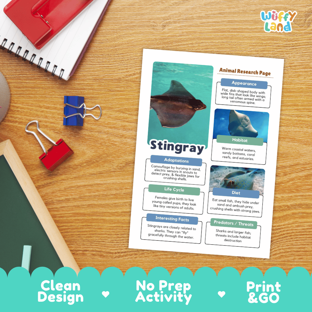 Stingray Animal Research Project Graphic Organizers and Fact Sheet