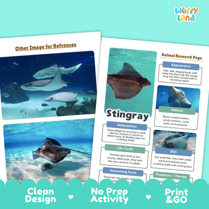 Stingray Animal Research Project Graphic Organizers and Fact Sheet
