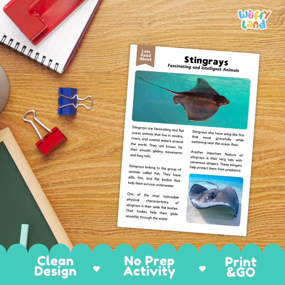 An educational reading activity sheet about stingrays laid on a wooden desk, surrounded by school supplies like a red notebook, blue binder clips, and a black pen. The sheet has text, two stingray photos, and a colorful 'Let's Read About' header.