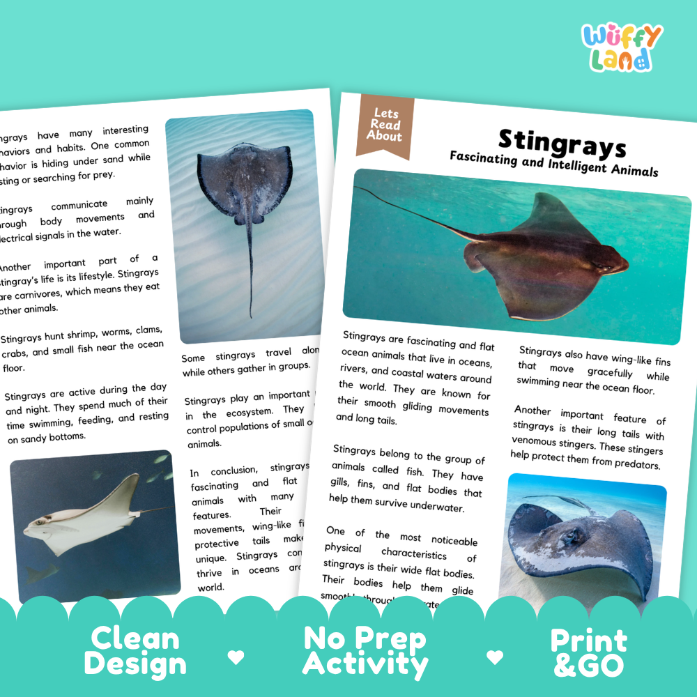 Stingray Reading Passage and Comprehension Questions Worksheets