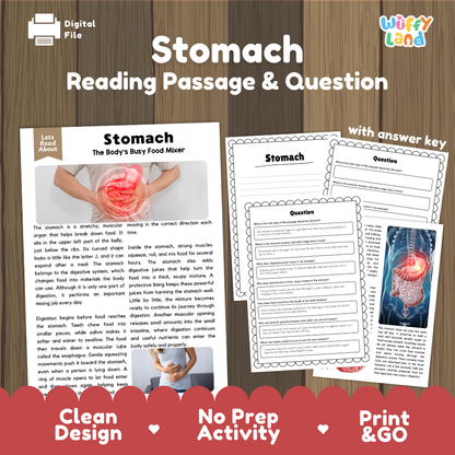 Stomach reading comprehension passage and questions printable activity pack with answer key for elementary students