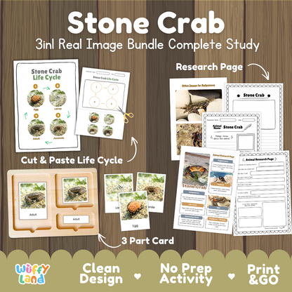 Stone crab 3-in-1 real image bundle complete study cover showing cut and paste life cycle, 3 part cards, and research pages