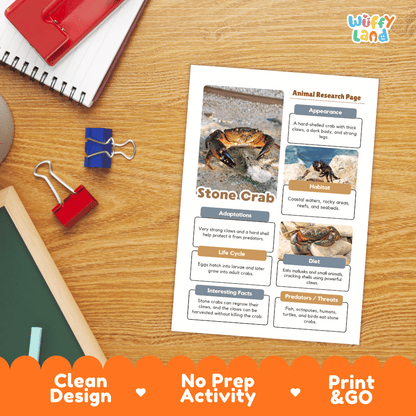 Stone Crab Animal Research Worksheets and Informational Fact Sheets