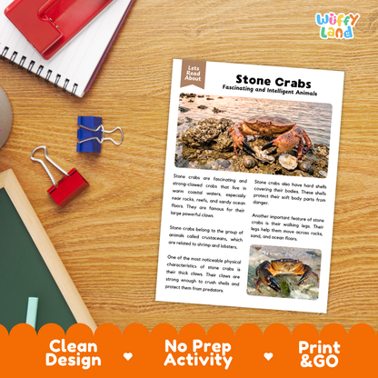 Stone Crab Reading Passage and Comprehension Questions Worksheets