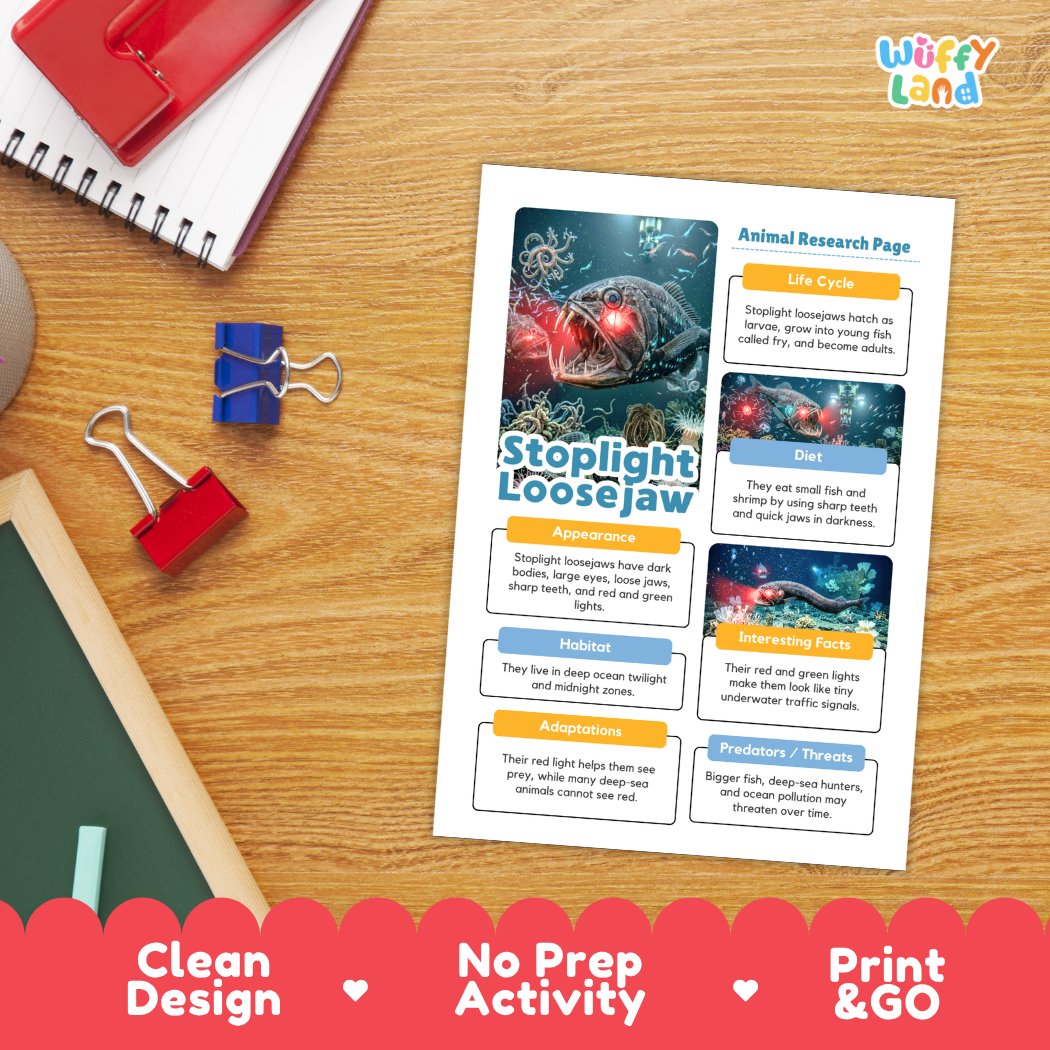 An educational animal research activity sheet titled 'Stoplight Loosejaw' about an octopus, displayed on a wooden desk with a red spiral notebook, blue binder clips, and a red notebook. A 'wiffly land' brand logo is visible in the top right corner.