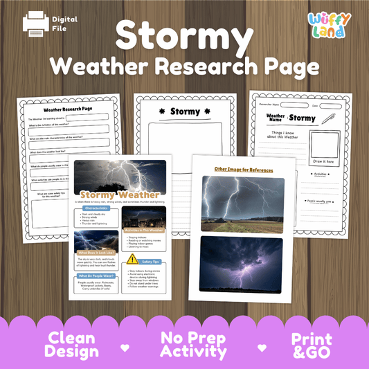 Stormy Weather Research Worksheets and Informational Fact Sheets