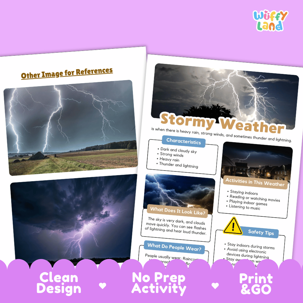 Stormy Weather Research Worksheets and Informational Fact Sheets