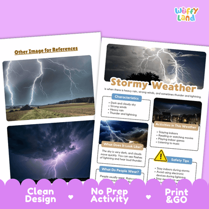 Stormy Weather Research Worksheets and Informational Fact Sheets