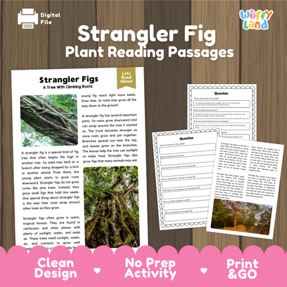 Strangler Fig Plant Reading Passages Worksheets and Comprehension Activity