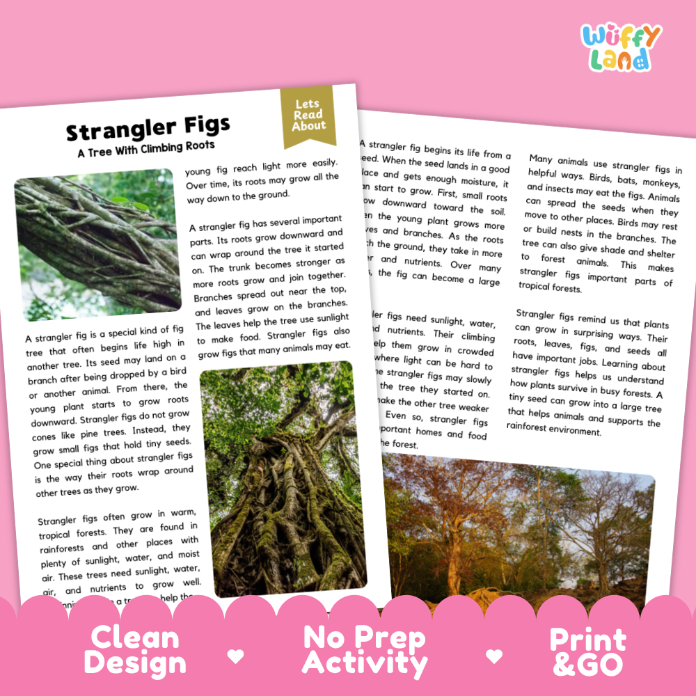 Strangler Fig Plant Reading Passages Worksheets and Comprehension Activity