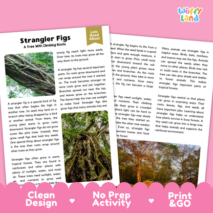 Strangler Fig Plant Reading Passages Worksheets and Comprehension Activity