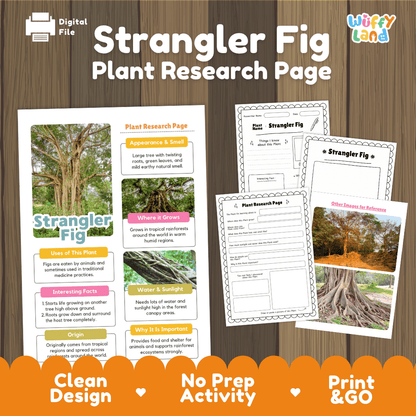 Strangler Fig Plant Research Page Worksheets and Fact Sheet