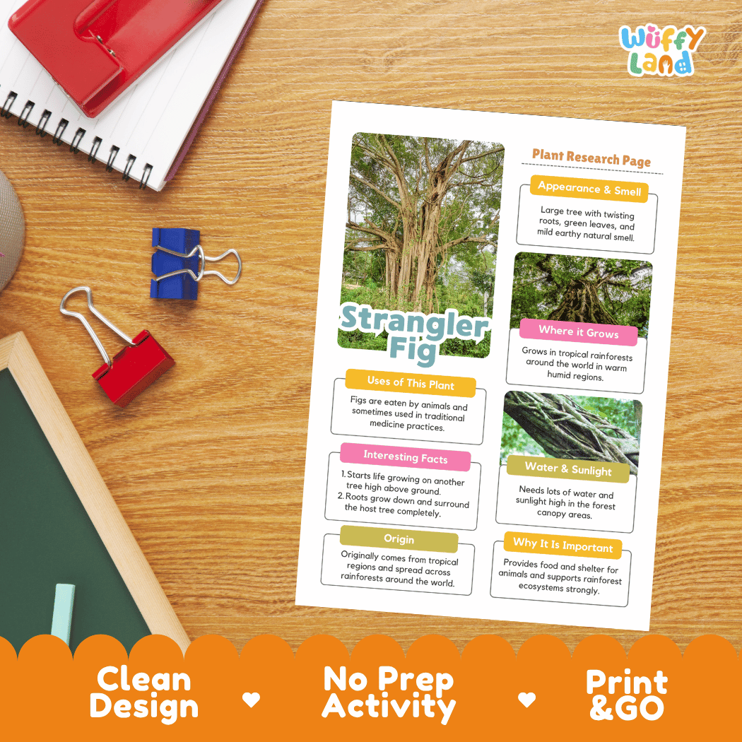 Strangler Fig Plant Research Page Worksheets and Fact Sheet