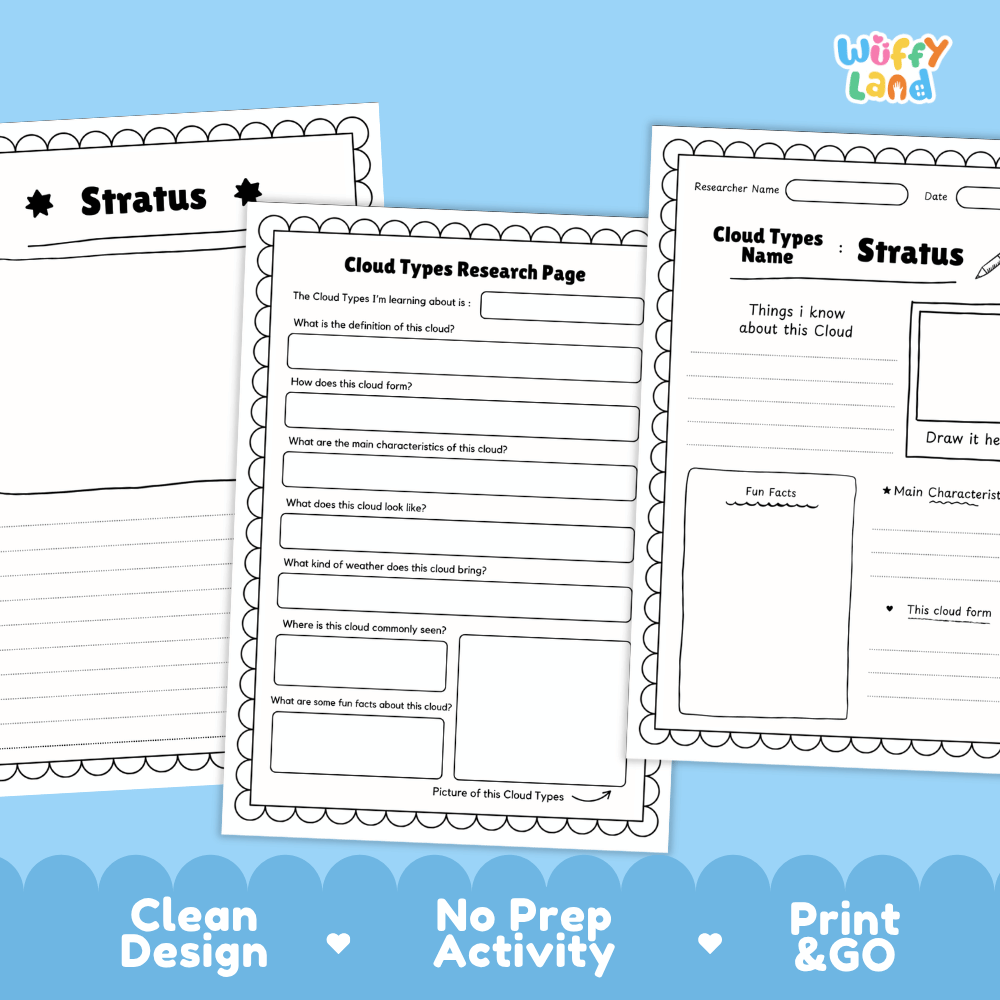Stratus Cloud Types Research Worksheets and Informational Fact Sheets