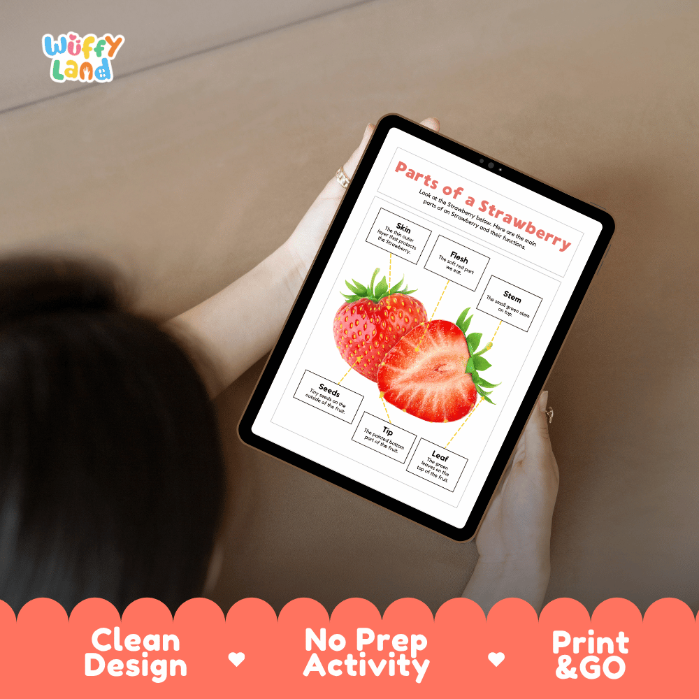 Educational cut and paste strawberry fruit anatomy worksheet with printable word cutout tiles for skin, flesh, stem, seeds, tip, and leaf