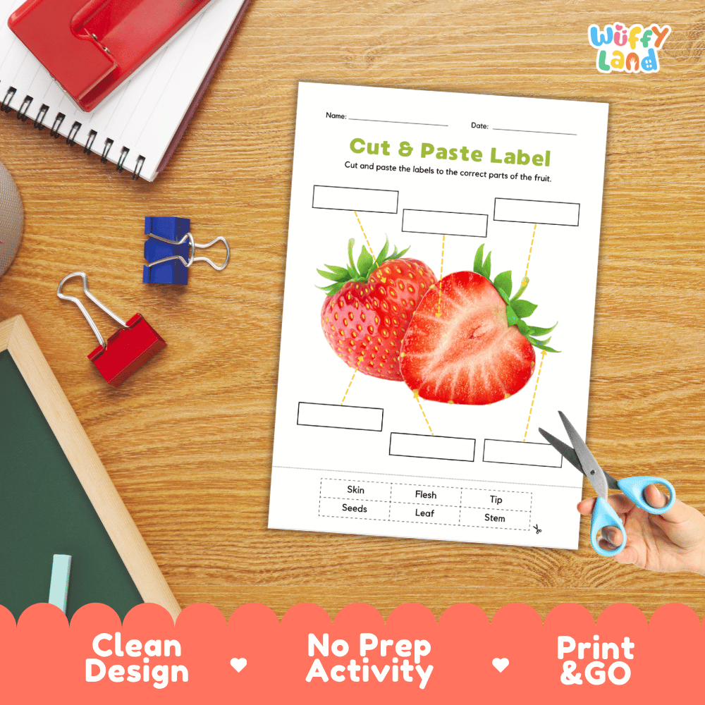 Printable plant biology worksheet showing sliced and whole fresh strawberries with blank labeling boxes and a vocabulary word bank for writing practice