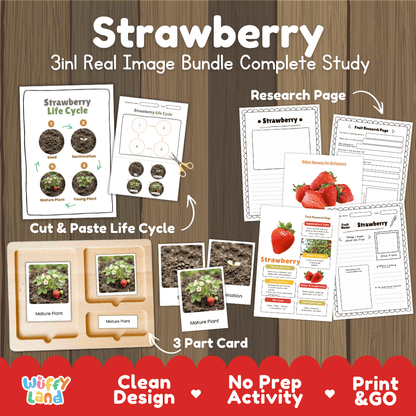 Complete Strawberry 3-in-1 real image study bundle featuring cut and paste worksheets, Montessori 3-part cards, and research pages 🍓🌱