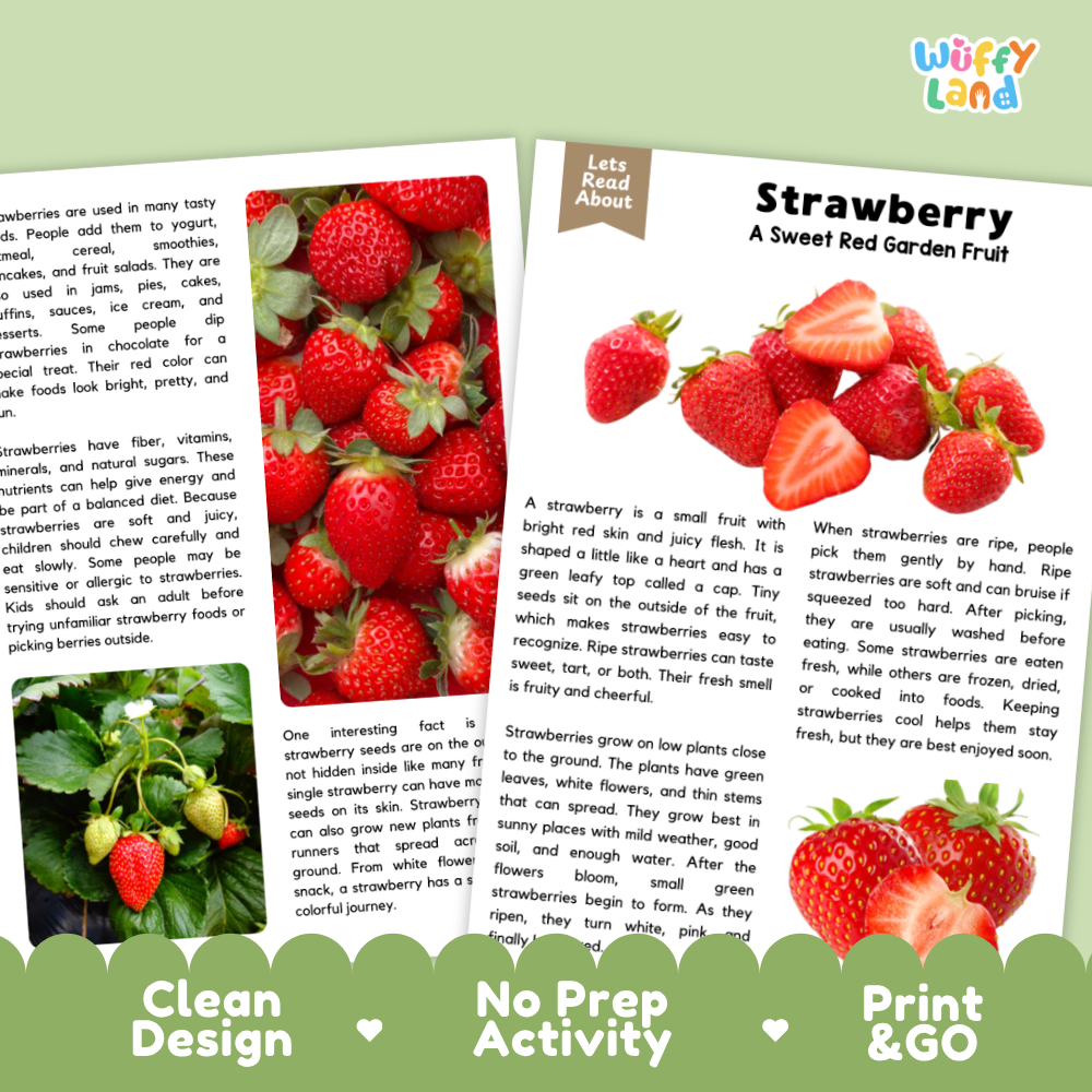 Teacher answer key page showing complete question solutions for strawberry reading comprehension practice