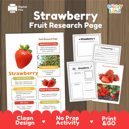 Strawberry Fruit Research Activity Worksheet Science Healthy Eating Life Cycle