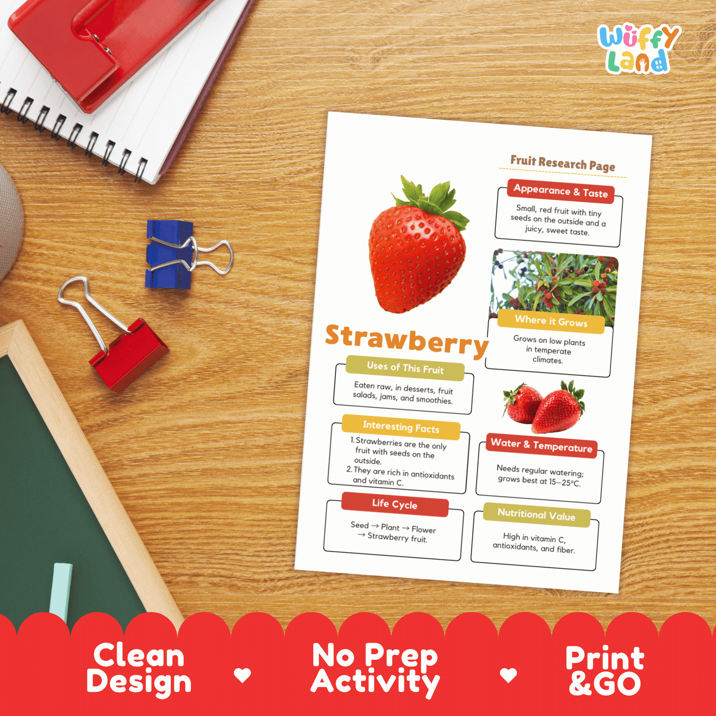 Strawberry Fruit Research Activity Worksheet Science Healthy Eating Life Cycle