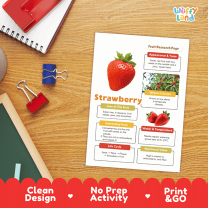 Strawberry Fruit Research Activity Worksheet Science Healthy Eating Life Cycle