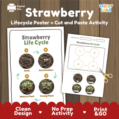 Strawberry Life Cycle Poster and Cut and Paste Worksheet Activity