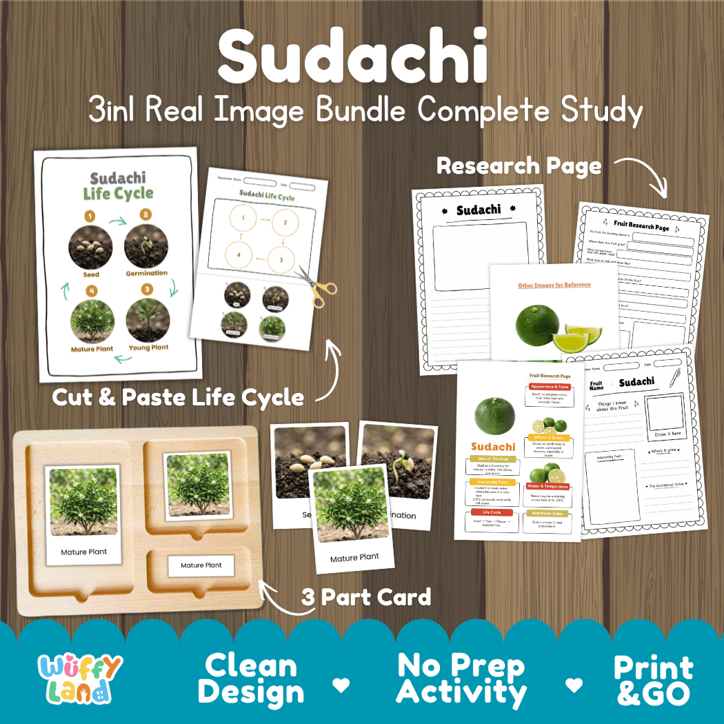 Complete Sudachi 3-in-1 real image study bundle featuring cut and paste worksheets, Montessori 3-part cards, and research pages 🍋🌱