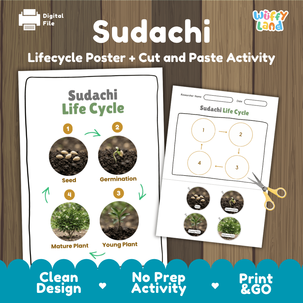 Sudachi citrus life cycle educational poster and cut and paste printable worksheet featuring real photographic stages for science students