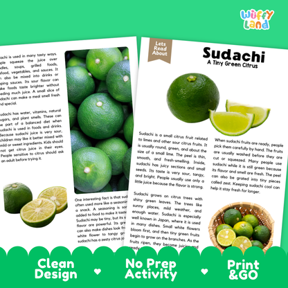Teacher answer key page showing complete question solutions for sudachi reading comprehension practice