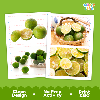Printable activity sheets featuring photographic Sudachi puzzle boards and cutting guides