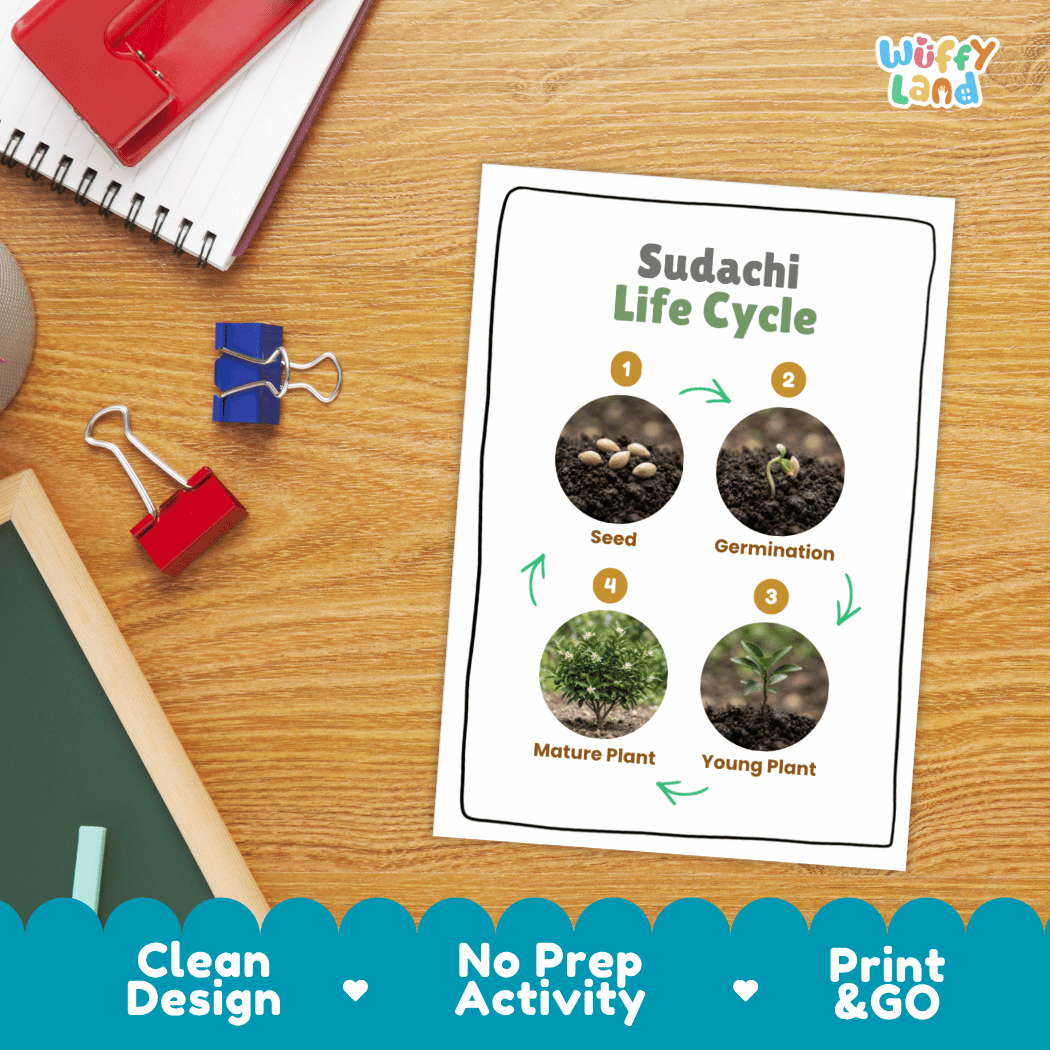 Hands-on cut and paste science worksheet for students to cut photo circles and sequence the stages of a sudachi plant