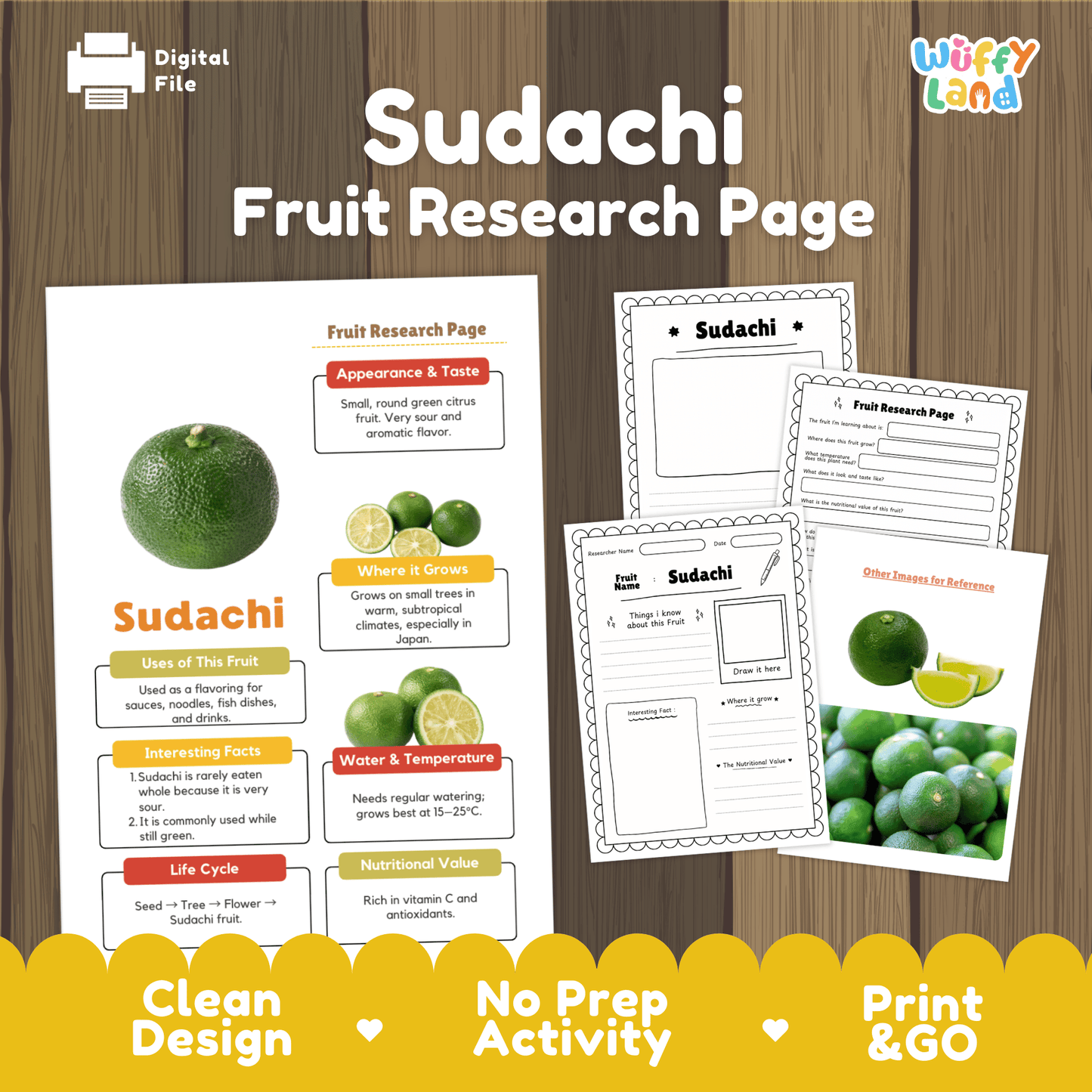 Sudachi Fruit Research Activity Worksheet Science Citrus Japan Healthy Eating