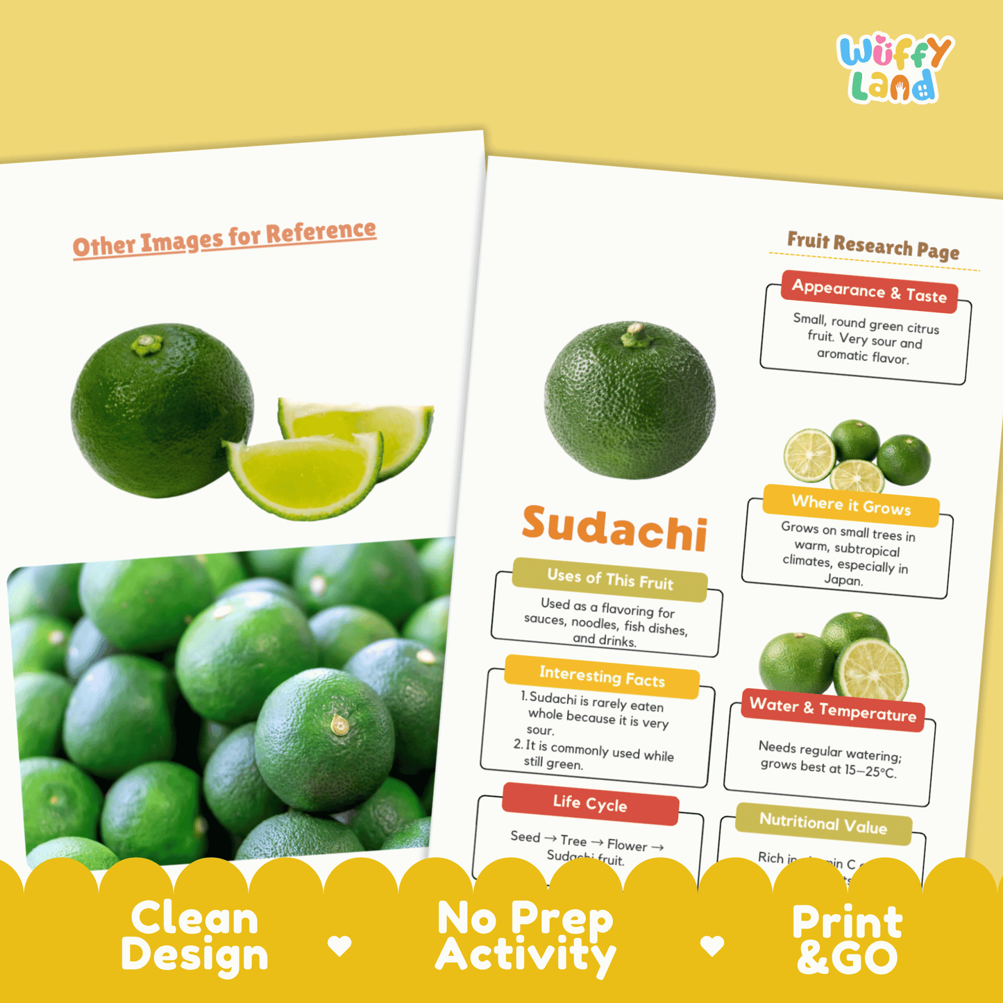 Sudachi Fruit Research Activity Worksheet Science Citrus Japan Healthy Eating