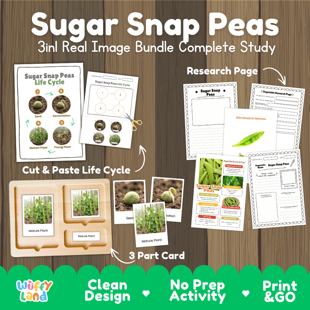 Sugar snap peas 3in1 real image bundle complete study printable featuring life cycle cut and paste worksheets, Montessori 3-part cards, and research pages