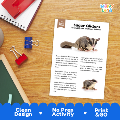 An educational activity sheet titled 'Sugar Gliders' laid out on a wooden desk with a red notebook, blue binder clips, and a red pen nearby. The sheet features text and photos of sugar gliders.
