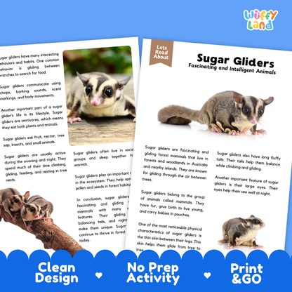 A children's educational activity sheet about sugar gliders, shown as a double-page spread with a small photo of a sugar glider on the right page. The sheet includes text such as 'Sugar Gliders' and 'Lets Read About,' plus a blue banner at the bottom reading 'Clean Design,' 'No Prep Activity,' and 'Print & Go.